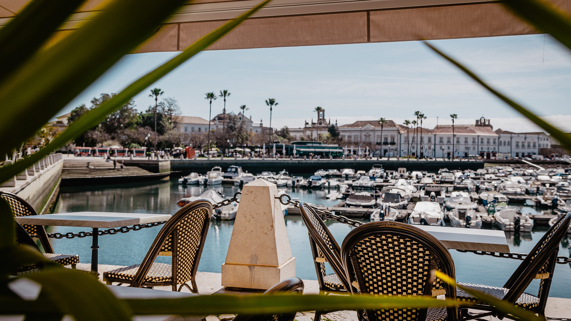 Adao Poke Steakhouse Faro Algarve Marina Grupo Gião